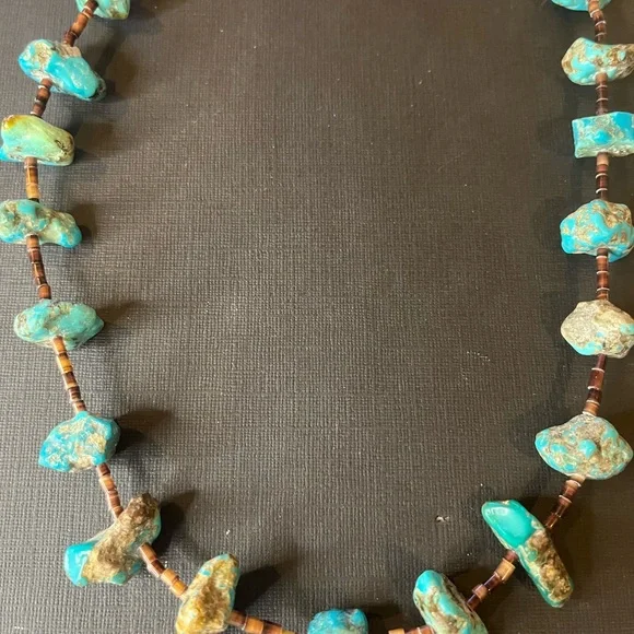 Chunky Native American Turquoise and heishi necklace